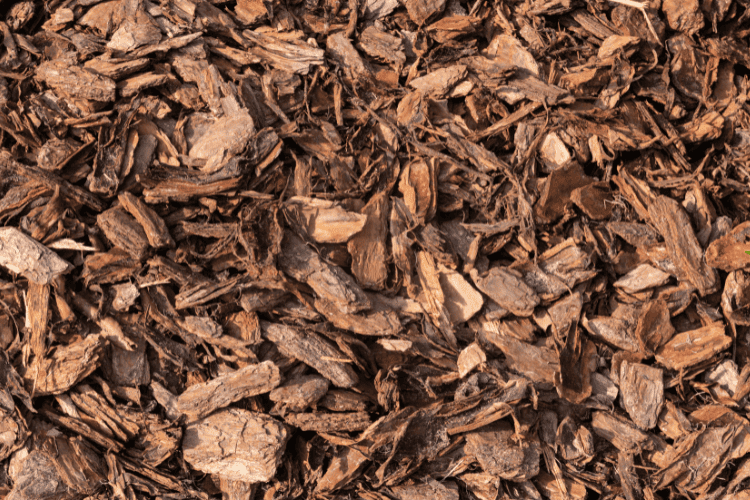 Pine bark mulch
